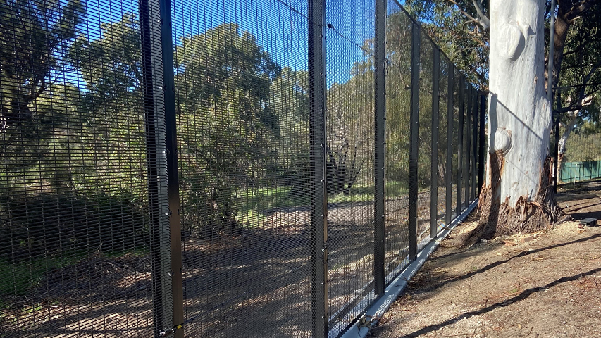 welded-mesh-fencing-brisbane-3